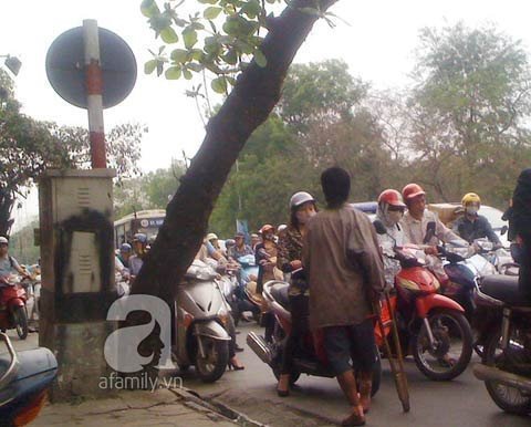 Gã ăn xin thu nhập “khủng” tái xuất, người dân tiếp tục bị lừa