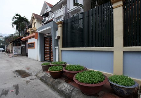 Độc đáo nhà giàu Hà Nội biến chậu cảnh thành... vườn rau