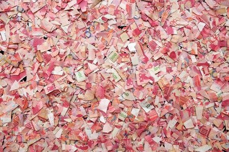 Méo mặt vì chuột gặm sạch tiền tiết kiệm