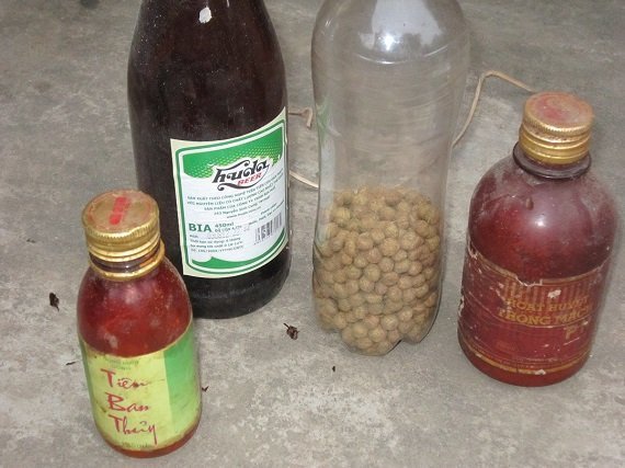 Công nghệ làm mật ong rừng rởm