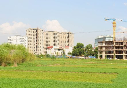 Bộ trưởng phải tiếp dân ít nhất 1 ngày/tháng?
