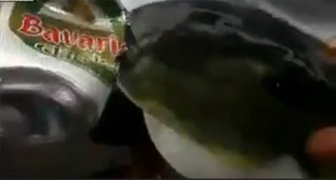 Cá ngoạm đứt vỏ lon bia 'ngọt' như dao cắt