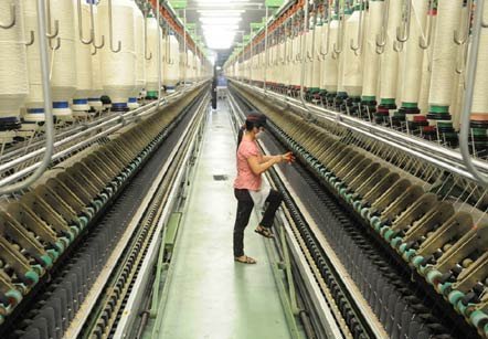 'Là Bộ trưởng, tôi sẽ giảm thuế xuống 20%'