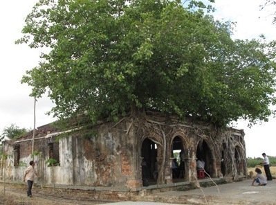Ngôi đình cổ “độc nhất vô nhị” nằm trong lòng cây bồ đề