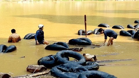 Cách vận chuyển gỗ lậu kỳ lạ trên sông