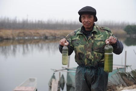 Cuộc sống tại các 