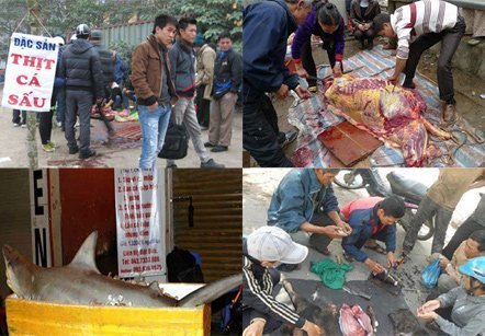 Mổ thịt cá mập, trăn khủng trên vỉa hè