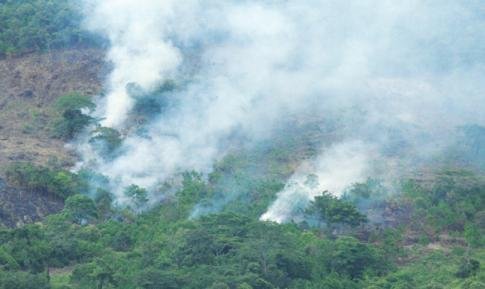 Gió bụi từ núi xa về