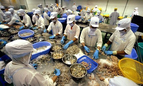 Trôi về đâu, Made in Vietnam?