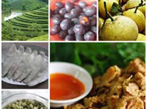 Về Đất Tổ thưởng thức món ngon