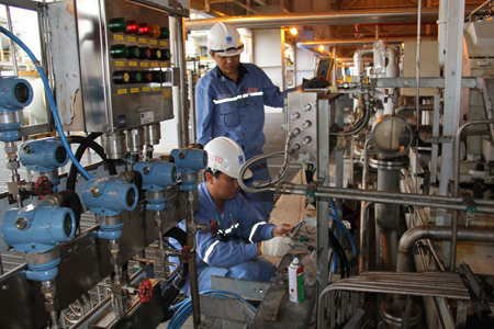 Bảo dưỡng định kỳ, Đạm Cà Mau dừng máy trong tháng 8/2015