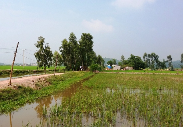 Tạm giữ cha ruột nghi giết hại con