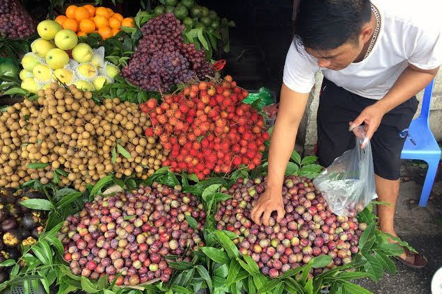 Chanh Việt ép giá mua rẻ, bị lừa ăn ngàn tấn mận Tàu