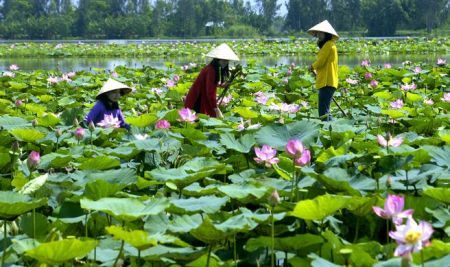 Khám phá những nơi có nhiều