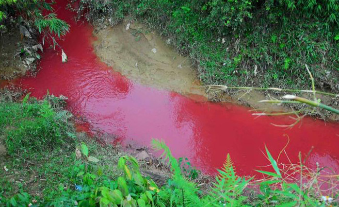 Sự thật dòng suối nhuốm màu đỏ như 'máu' ở Điện Biên