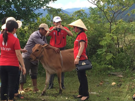 Maritime Bank tặng 370 con bò cho đồng bào khó khăn