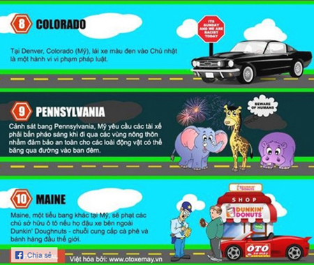 Xe hơi và những luật lệ giao thông kỳ lạ