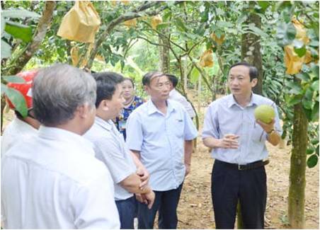 Hà Tĩnh phát triển chuỗi liên kết nông nghiệp