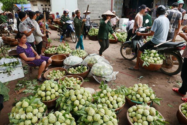 Chợ na dài cả km chỉ có ở Việt Nam