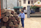 Bắt hơn 5m3 gỗ lậu trong nhà nguyên phó bí thư huyện ủy
