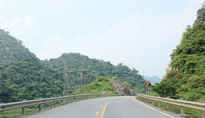 Hàng trăm héc-ta đất rừng bị phù phép thành biệt thự