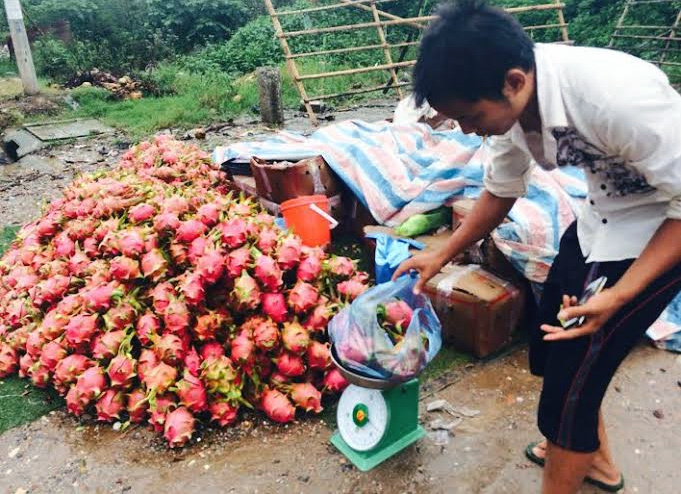 Thanh long 10 ngàn/kg đổ đống khắp vỉa hè Hà Nội