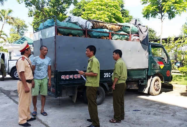 Vận chuyển 3,6 tấn xương động vật hôi thối trên xe tải