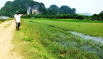 Đại dự án hơn 1.400 tỷ 'treo' gần 10 năm: Còn đâu đất 'bờ xôi ruộng mật'
