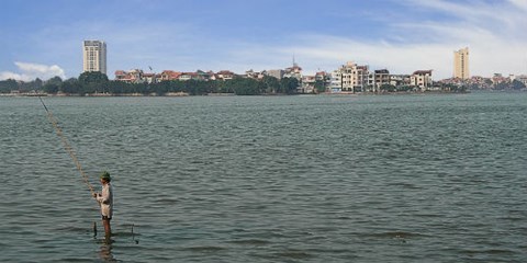 Bí mật 'mỏ' cá khổng lồ hàng trăm năm giữa Hà Nội