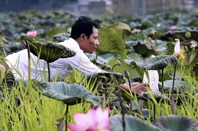 'Tay chơi' Hà Thành: Ông chủ đầm sen 12 loại quý hiếm