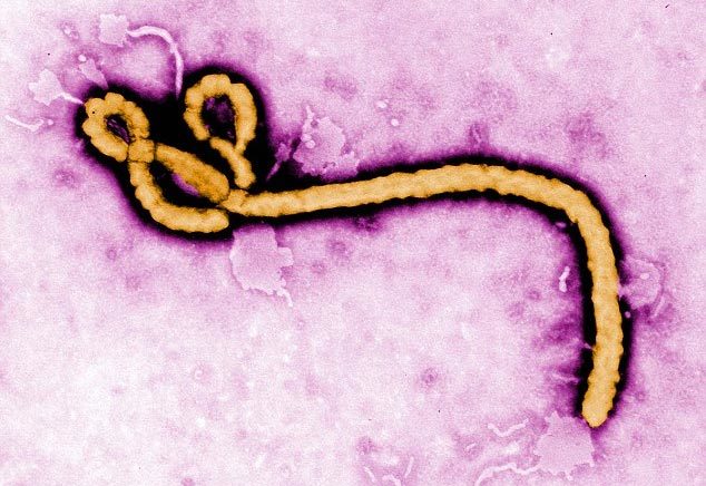 dịch bùng phát, virus Ebola, bệnh Ebola, thủ dâm, quan hệ tình dục, chuyện ấy