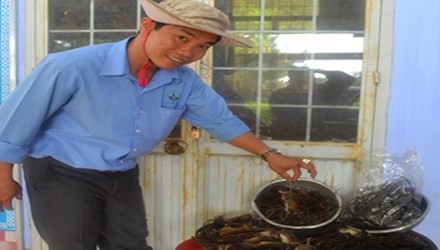 'Chuột quý tộc' tẩm bổ sâm Ngọc Linh: Đặc sản hiếm có