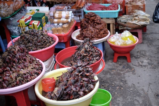 các loại mắm, khô cá, bánh, hoa quả, miền Tây, Châu Đốc