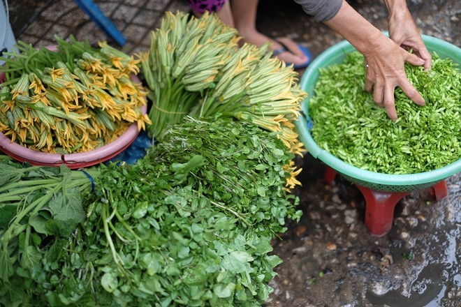 các loại mắm, khô cá, bánh, hoa quả, miền Tây, Châu Đốc