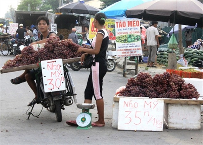 Nho Mỹ bán ở vỉa hè 30.000 đồng/kg