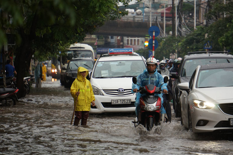 Ngập nhà, đổ cây sau mưa lớn