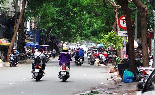 TPHCM: Kiến nghị lập quỹ hỗ trợ tai nạn do cây xanh ngã đổ
