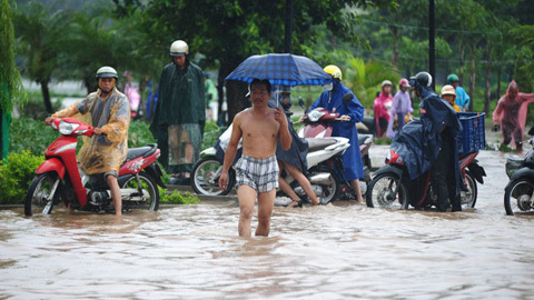 Mưa lớn dồn dập, cây đổ, Hà Nội ngập sâu