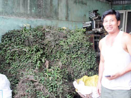 Những tỷ phú ở làng buôn cau số 1 Việt Nam