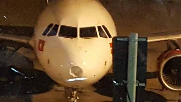 Máy bay lõm đầu vì va phải chim