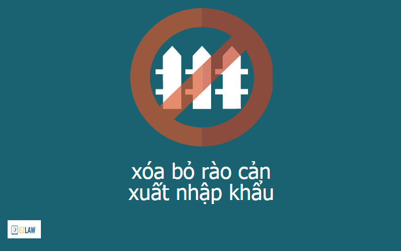 Nhận định, soi kèo VVV