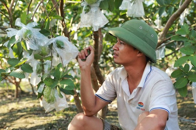 Gia đình Lệ Rơi lao đao vì chủ nợ nhao nhao đến đòi