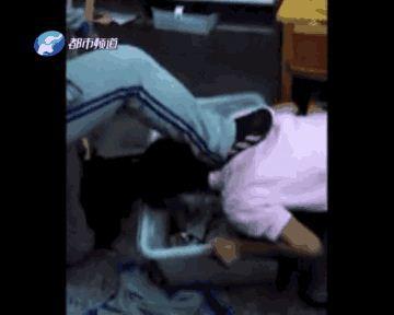 Nữ sinh bị bắt dùng miệng bới rác gây xôn xao