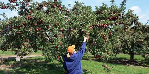 6 mẹo hay giúp tiết kiệm tiền thực phẩm hàng ngày