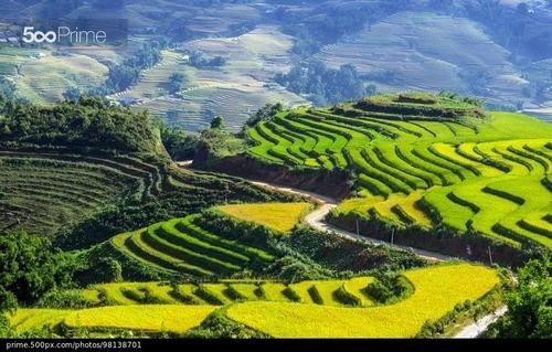 Cuối thu, đi đâu để hưởng trọn những ngày hanh hao nắng?