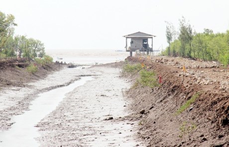 Tìm thấy nữ sinh thiệt mạng nhờ sim điện thoại cũ