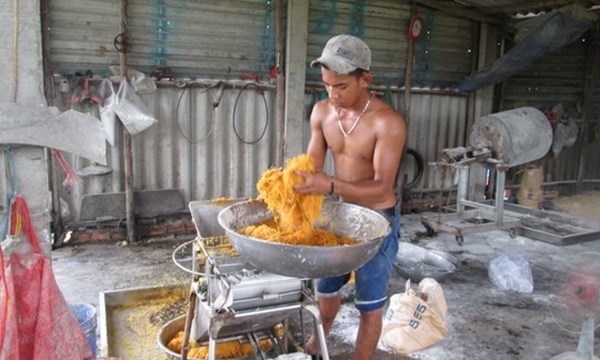 Ruốc thịt gà trộn bột mì, hóa chất