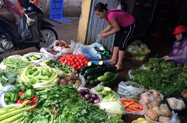 22% mẫu rau ở Hà Nội có thuốc gây ngộ độc