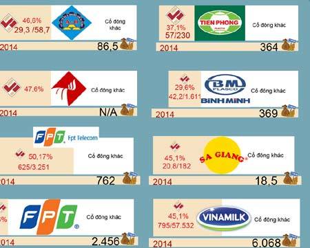 Túi tiền nhà nước 3 tỷ USD nhiều đại gia thèm muốn