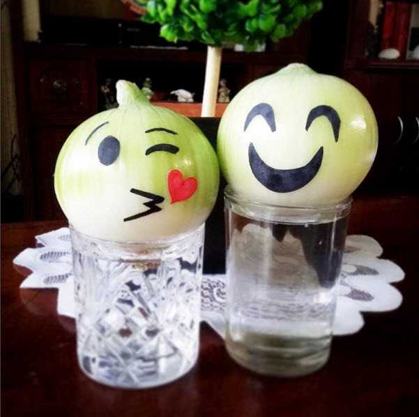 Chị em khắp nơi rầm rộ trồng hành tây 
